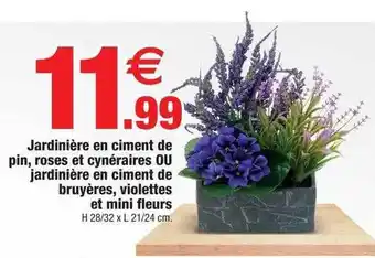 Jardinière en ciment de pin, roses et cynéraires ou jardinière en ciment de bruyère, violettes et mini fleurs