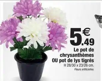 Bazarland Le pot de chrysanthèmes ou pot de lys tigrés offre