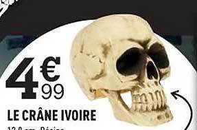 Centrakor Le crâne ivoire offre