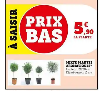 Super U Mixte plantes aromatiques offre