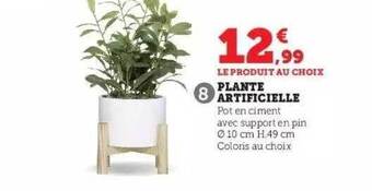 Hyper U Plante artificielle offre