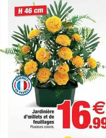 Bazarland Jardinière d'œillets et de feuillages offre