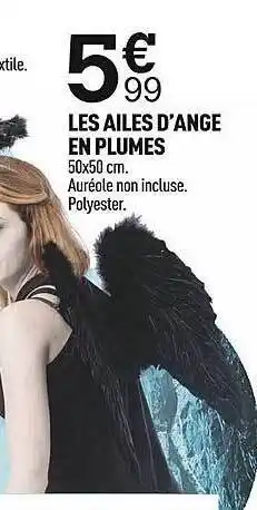 Centrakor Les ailes d'ange en plumes offre