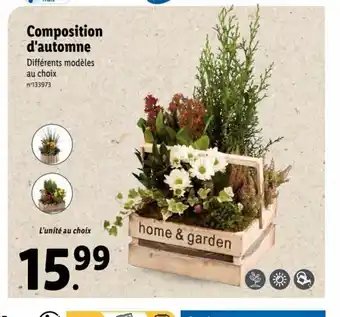 Lidl Composition D'Automne offre
