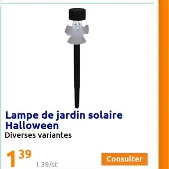 Action Lampe De Jardin Solaire Halloween offre