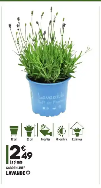 ALDI Lavande offre