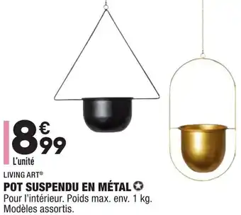 Pot Suspendu En Métal