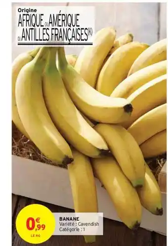 Banane cavendish