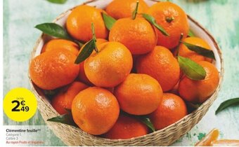 Carrefour Market Clementine Feuille offre