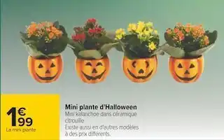 Carrefour Mini plante d'halloween offre