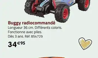 Buggy radiocommandé
