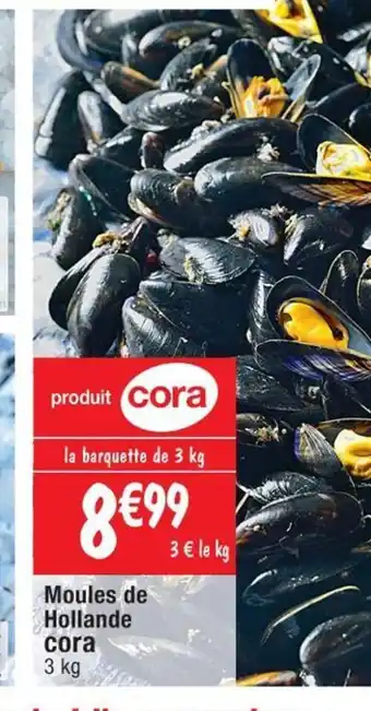 Cora x Carrefour Moules De Hoilande Cora offre