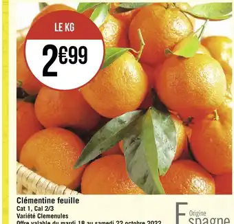Clémentine feuille