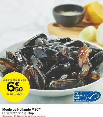 Moule de hollande msc