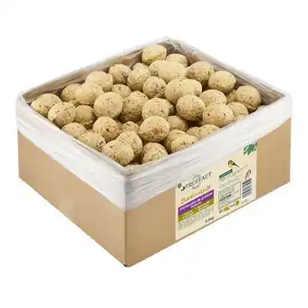 Truffaut 100 boules de graisse pour oiseaux du jardin “truffaut jardin durable” offre