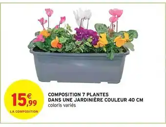 Intermarché Hyper Composition 7 plantes dans une jardinière couleur 40 cm offre
