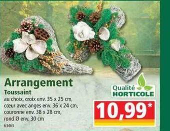 Norma Arrangement toussaint offre