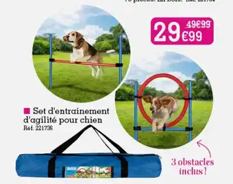 Kandy Set D'entrainement D'Agilité Pour Chien offre