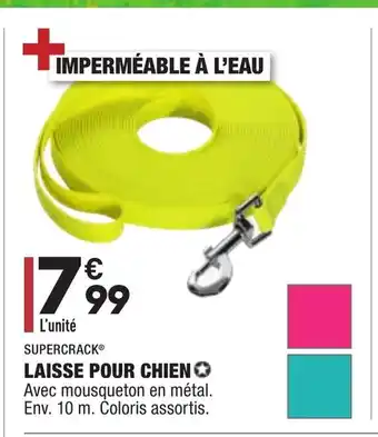 ALDI Laisse Pour Chien offre
