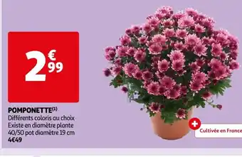 Auchan Pomponette offre