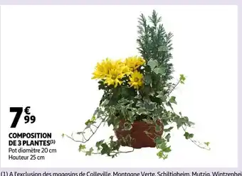 Auchan Compositionde 3 Plantes offre