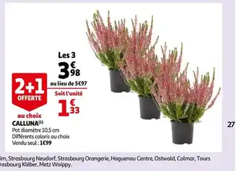 Auchan Calluna offre