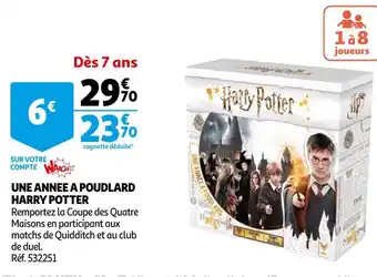 Auchan Harry potter une annee a poudlard offre