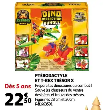 Dino dissection bundle ptérodactyle et t-rex trésor x