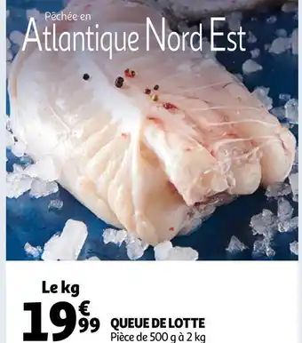 Auchan Queue de lotte offre