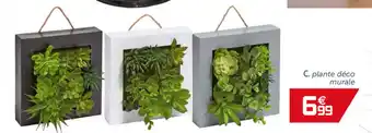 Gifi Plante déco murale offre