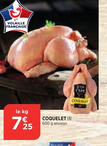 Bi1 Coquelet offre