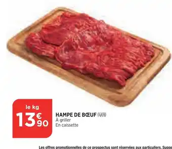Bi1 Hampe de Boeuf offre