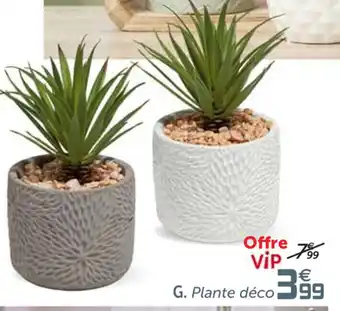 Gifi Plante déco offre