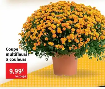 Colruyt Coupe Multifleurs 3 Couleurs offre