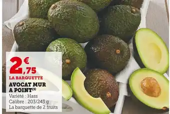 U Express Avocat mur a point offre