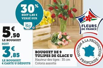 U Express U bouquet de 9 tulipes de glace offre