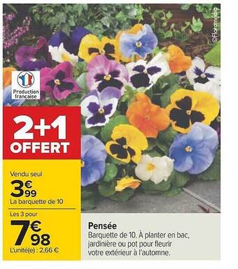 Carrefour Pensée offre