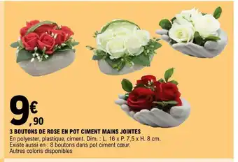 E.Leclerc 3 Boutons De Rose En Pot Ciment Mains Jointes offre
