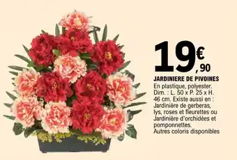 E.Leclerc Jardiniere De Pivoines offre