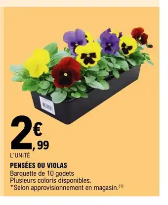 E.Leclerc Pensees Ou Violas offre