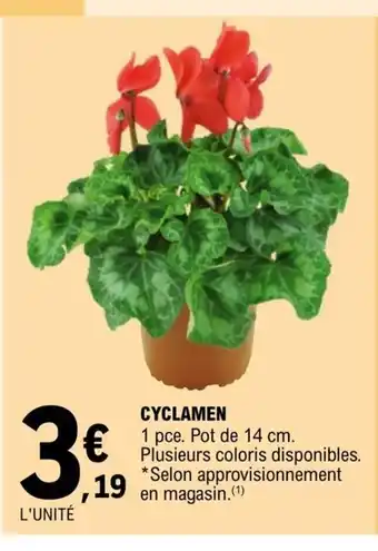 E.Leclerc Cyclamen offre