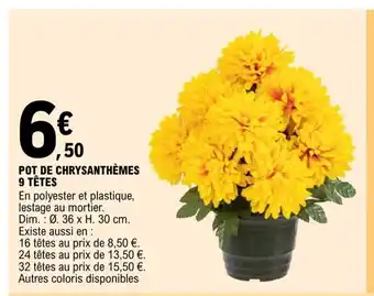 Pot De Chrysanthemes 9 Tetes