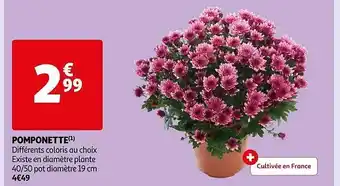 Auchan Pomponette offre
