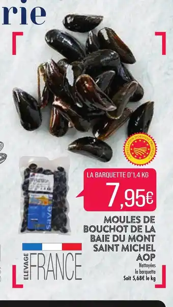 Match Moules De Bouchot De La Baie Du Mont Saint Michel Aop offre