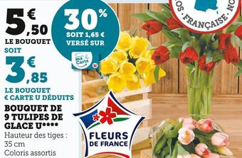 Super U U bouquet de 9 tulipes de glace offre