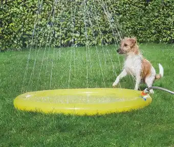 Maxi Zoo Tapis de jeu aquatique offre