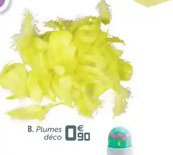 Gifi Plumes déco offre