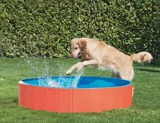 Maxi Zoo Piscine FIT+FUN offre