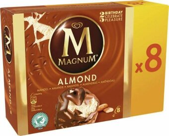 Géant Casino MAGNUM glacé Amande offre