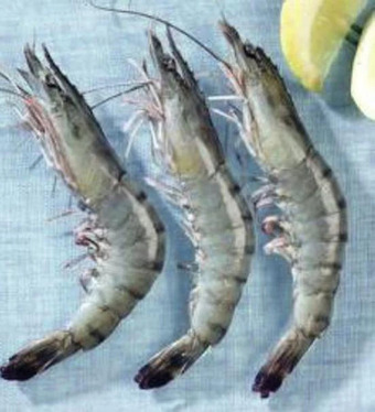 Géant Casino Crevettes crues offre